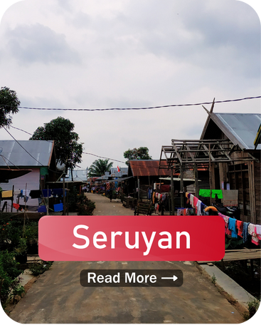 Copy of Website WEI (49)