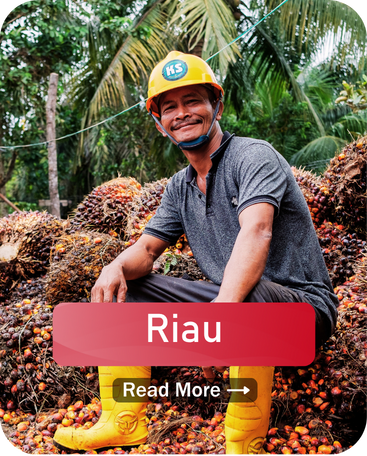 Copy of Website WEI (5)