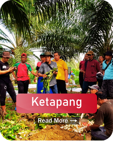 Copy of Website WEI (9)