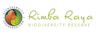 rimba raya